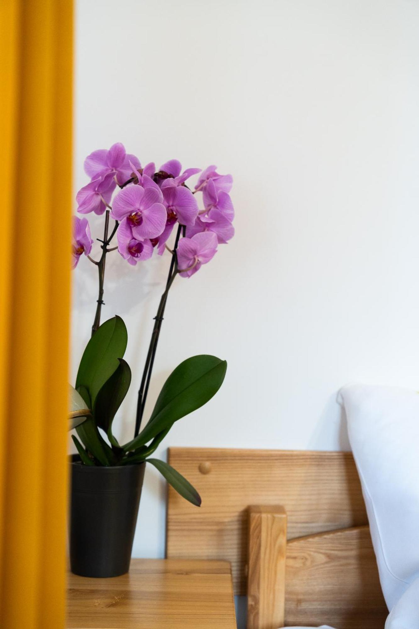Dom Krawca - Pod Chojnikiem Apartment Jelenia Gora Luaran gambar